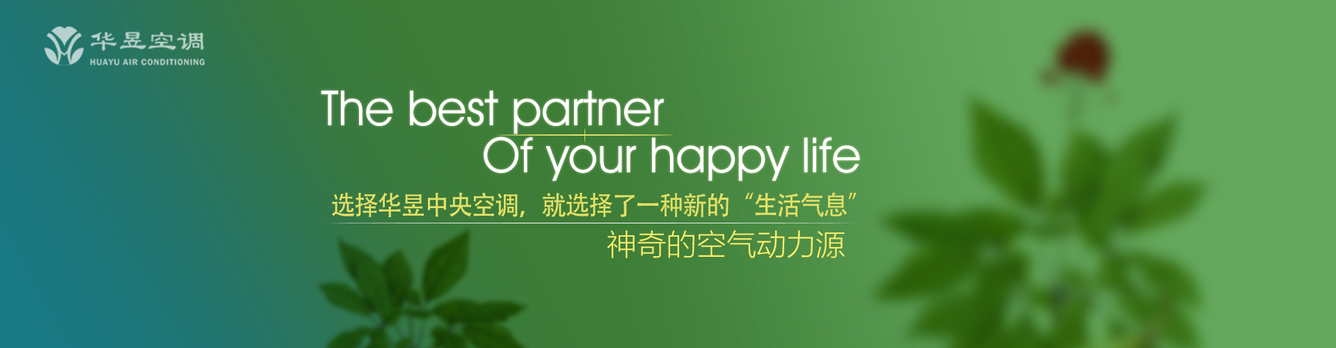 以终天年网